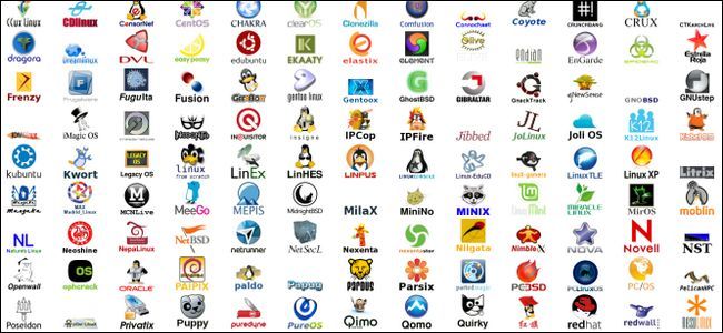 11 лучших дистрибутивов Linux для программиста