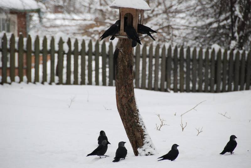 Враг, который давно живёт рядом россия