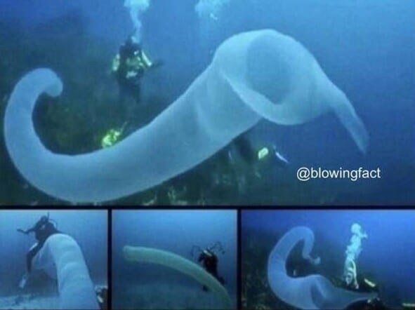 Фотография: 40 отборных картинок для того, чтобы немного отвлечься №7 - BigPicture.ru