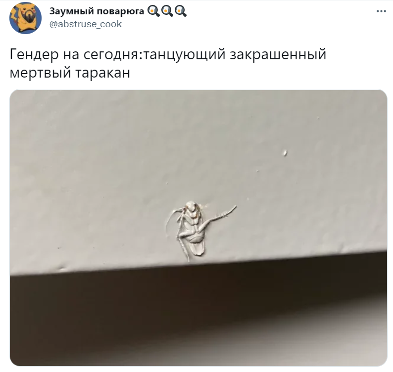 танцующий таракан мемы