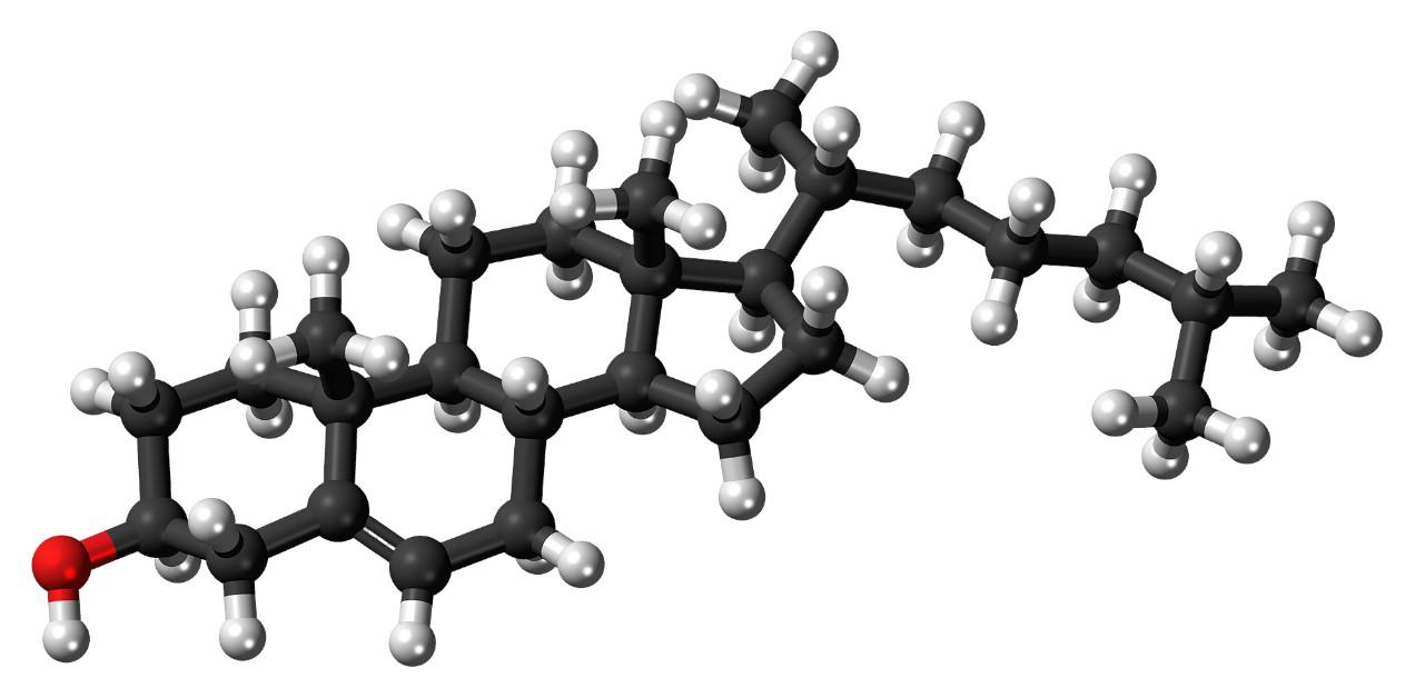 Молекула холестерина