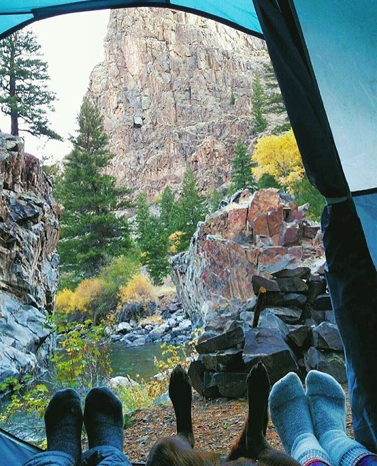 Звери-путешественники Звери-путешественники животные,животные-путешественники,звери