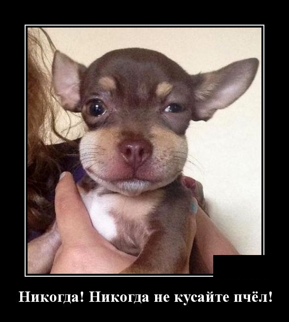 Демотиваторы вторника 30 октября 