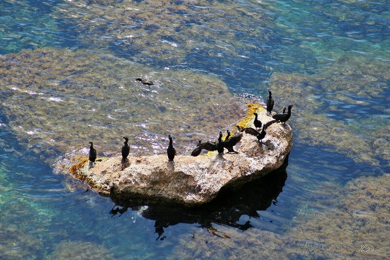 Величие Тарханкута Величие Тарханкута