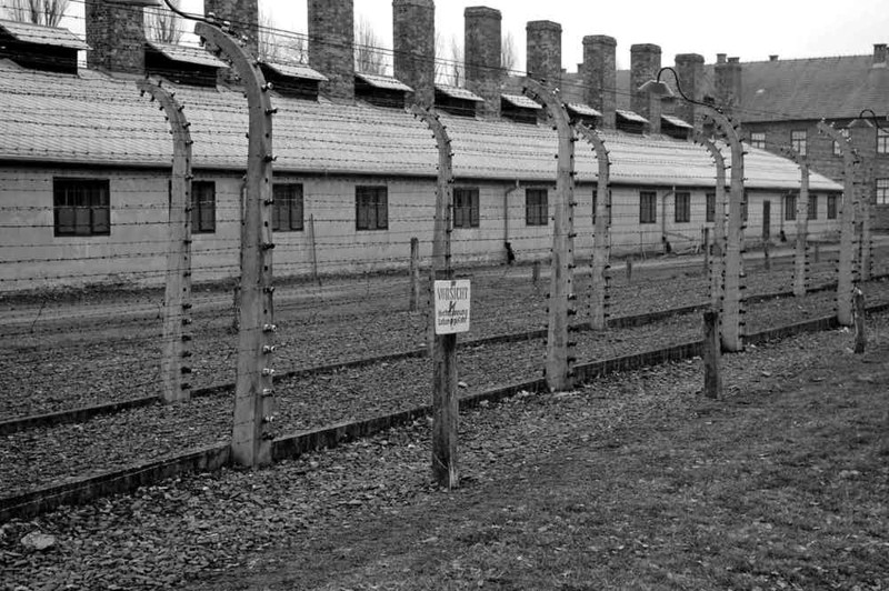 Страдания и смерть не прекратились сразу после освобождения лагерей вторая мировая, факты, холокост