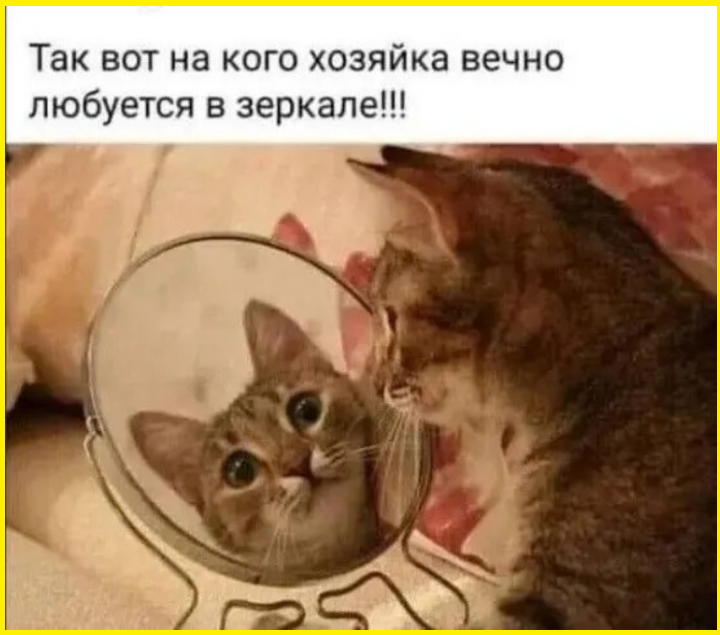 Прикольные картинки с веселыми подписями 