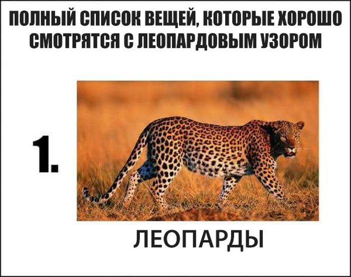 Подборка прикольных фото  (106 фото)