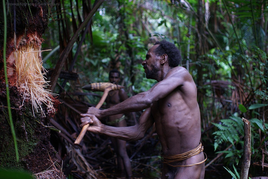 Джунглях живут люди. Племя КОРОВАИ Папуа новая Гвинея. Новая Гвинея. Племя КОРОВАИ. Папуасское племя КОРОВАИ.