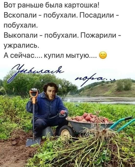 На кухне теща стряпает пельмени. К ней подходит маленький котенок... Весёлые,прикольные и забавные фотки и картинки,А так же анекдоты и приятное общение