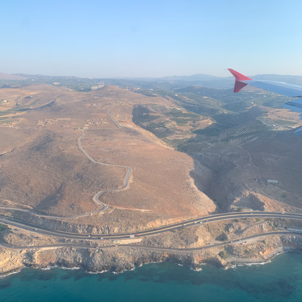 8 необычных растений с острова Крит 8 необычных растений с острова Крит интересное,природа,путешествия,растения