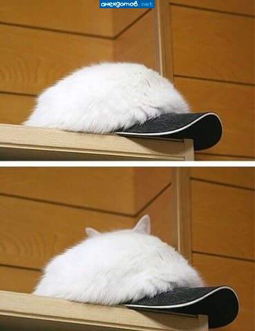 Если от вас ушла жена к соседу, не отчаивайтесь: теперь вы — сосед! Если от вас ушла жена к соседу, не отчаивайтесь: теперь вы — сосед! анекдоты,веселые картинки,приколы,юмор