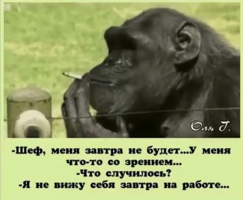 - Чего это Серега заикаться стал после свадьбы?... шапка, время, говорит, сегодня, который, игрок, знаешь, никогда, почему, стали, радио, премудростям, преферанса, знает, нюансы, глуши, календарю, октября, вопрос, исчезать