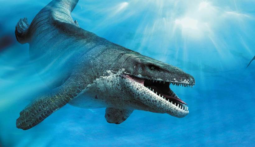 Почему динозавры вымерли, а крокодилы остались жить и процветают до сих пор