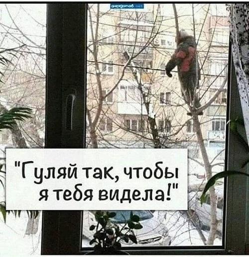 Шутки и приколы в свежей порции юмора Шутки и приколы в свежей порции юмора