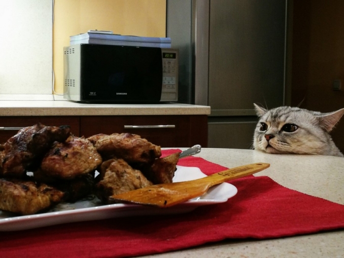 Фотоподборка пятницы на конец осени Фотоподборка пятницы на конец осени