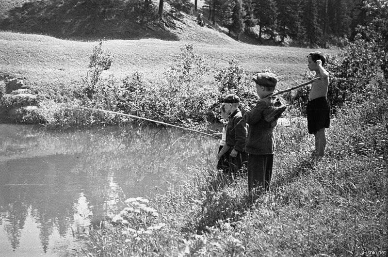 Хочу к бабушке в деревню Хочу к бабушке в деревню истории из жизни