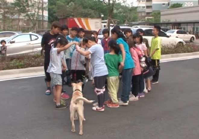 Пес смотрел на окно высотного дома, но никто не знал, почему он боится сделать шаг навстречу доброте Пес смотрел на окно высотного дома, но никто не знал, почему он боится сделать шаг навстречу доброте