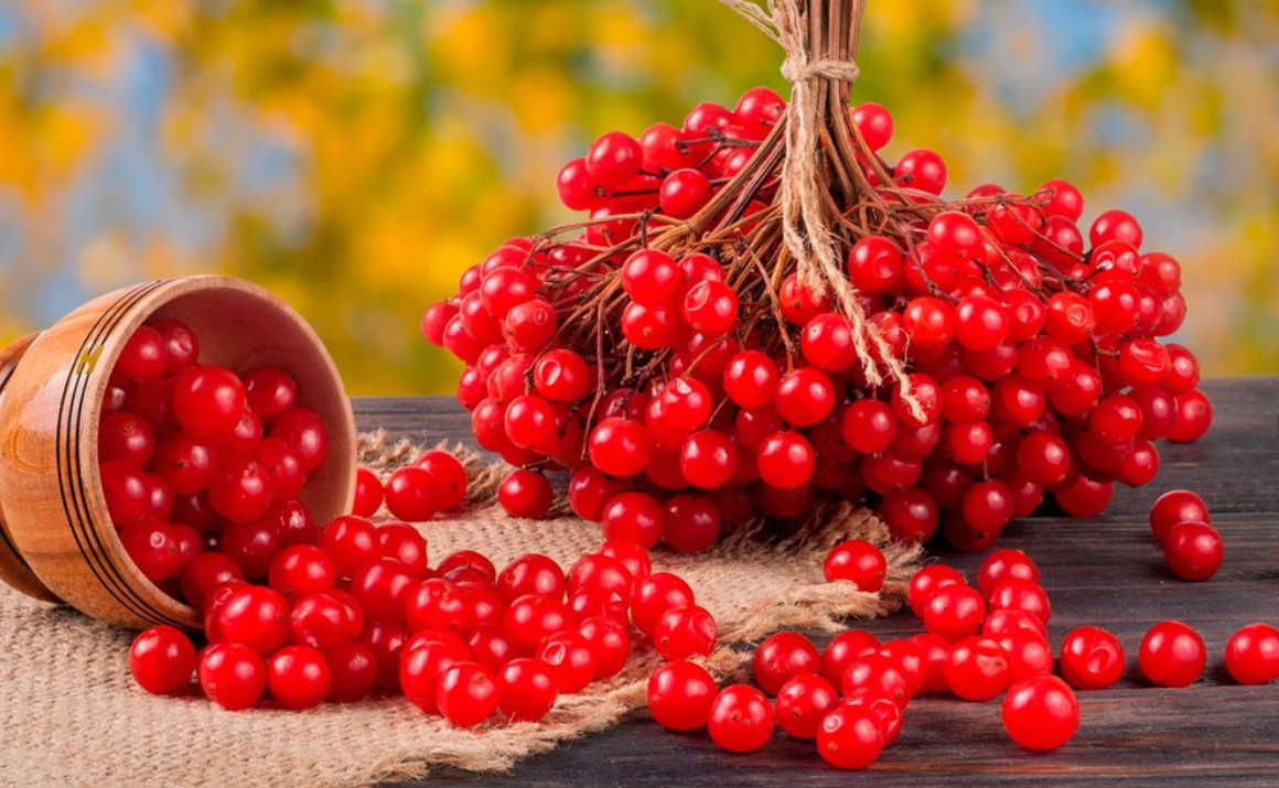 Два года назад у меня стало болеть сердце, особенно по вечерам и ночью