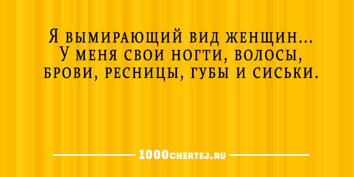 Микс. Великолепная подборка коротких анекдотов и золотых статусов 