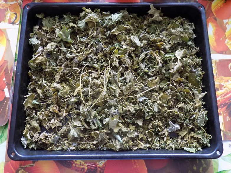 Лечение сахарного диабета 1-го типа лекарственными сборами