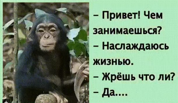 - Почему ты так и не предложил выйти за тебя?... весёлые