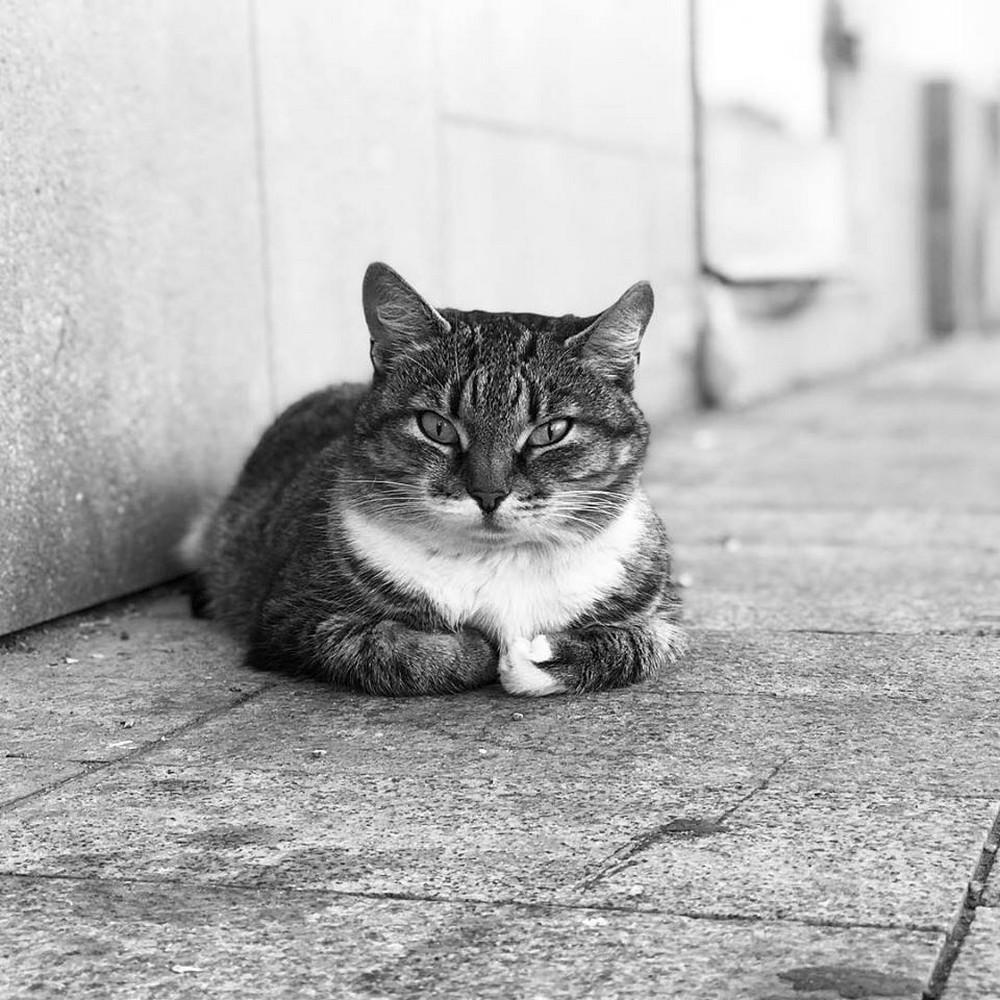 «Memento metro» – жизнь московского метро в проекте Алексея Домрачева «Memento metro» – жизнь московского метро в проекте Алексея Домрачева фотография