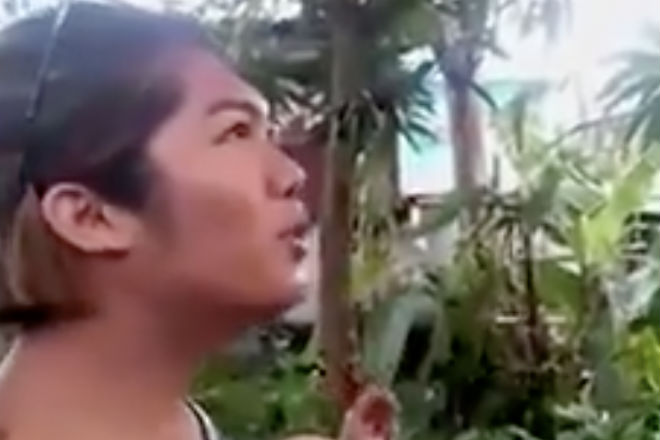 Семерых одним махом: как ловят комаров в Таиланде