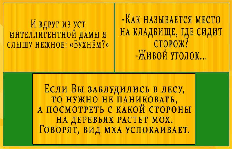 Микс. Великолепная подборка коротких анекдотов и золотых статусов 