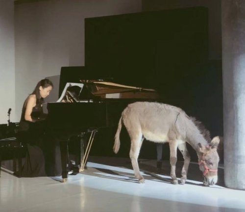 Очень странные дела! 