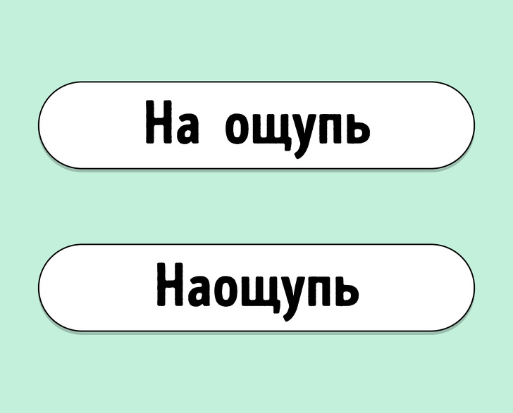 Тест: Знаете ли вы, как правильно пишутся эти 12 слов?