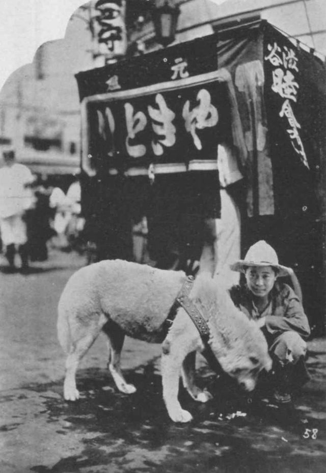 Хатико: редкие фотографии самой верной собаки в мире Хатико, хозяина, Хидэсабуро, своего, профессора, смерти, станции, возвращения, одной, несколько, работы, жизни, Сибуя, Токио, часть, марта, останков, станцию, девяти, однажды