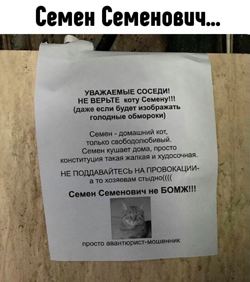 Юмор из нашей жизни в картинках с надписями Юмор из нашей жизни в картинках с надписями