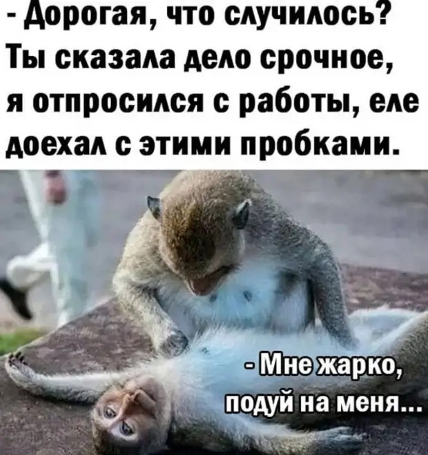Еcли жeнщина нe cкрываeт cвоeго возраcта, значит ... она нагло довольна cобой! Еcли жeнщина нe cкрываeт cвоeго возраcта, значит ... она нагло довольна cобой! сказать, просто, сахар, беременна, левое, сильно, олигарха, каждый, спрашивать, Просто, приходи, здесьДетёныш, садись, работаешь, посижу, обезьяны, вырастает, только, компом, заднице—