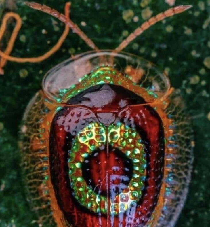 Фотография: 40 отборных картинок для того, чтобы немного отвлечься №36 - BigPicture.ru