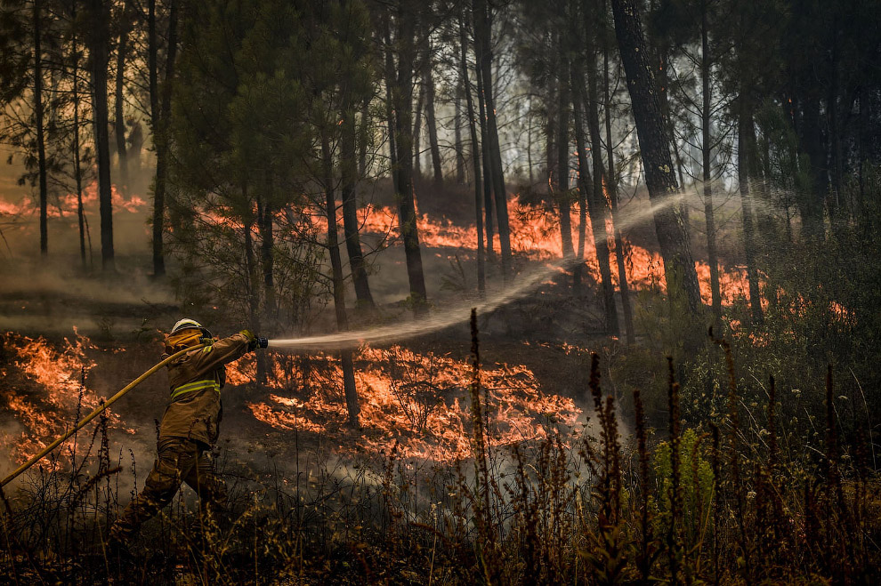 Как в Португалии тушат пожары
