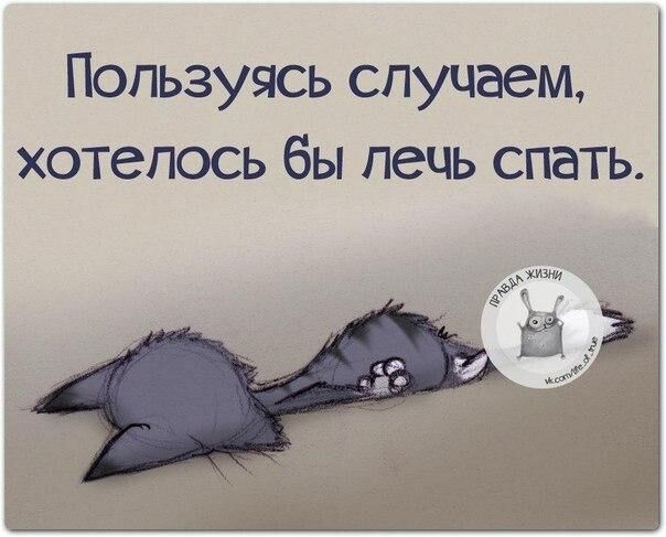 Смешные картинки про хочу спать