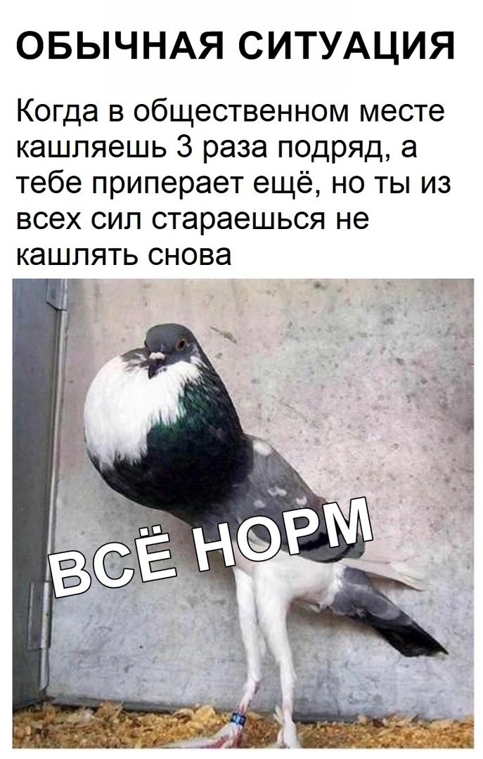 Свежие мемы 