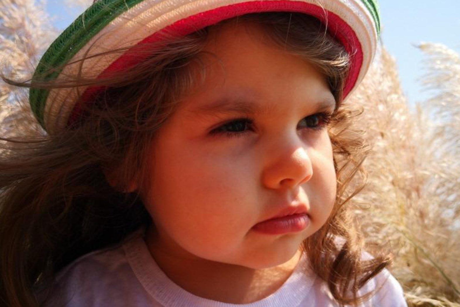 Умерла «Самая красивая девочка России» Ксения Никитина: что о ней известно Ксюши, Никитина, Никитиных, Ксюше, время, родители, жизни, девочка, девочки, озорными, девочкой —, кудряшками, бездонными, семье, глазами, улыбкой, которая, когдато, очаровательной, озаряла