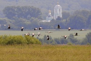 Самые бюджетные направления для путешествий на поезде по России