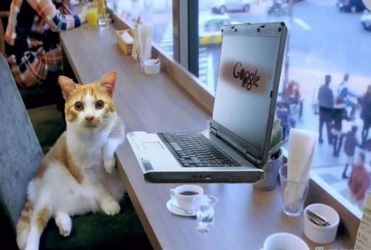 О программисте