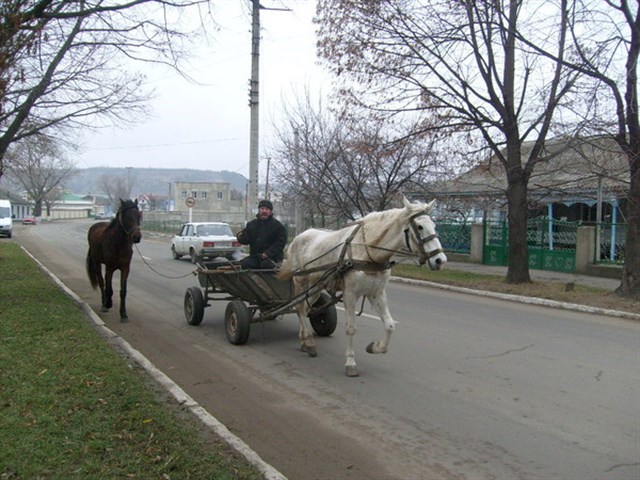 Приднестровье. Маленькая гордая страна Приднестровье. Маленькая гордая страна геополитика