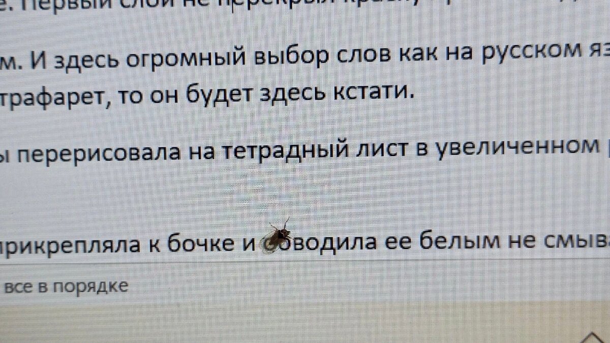 Как спастись от комаров и мошек. Сделала народное средство, теперь ни одна букашка не тревожит вечером, насекомых, время, добавила, только, налила, использовать, небольшую, средство, гвоздики, можно, ленту, липкую, много, вспомнила, Прайса, залепить, минут, осталось, скотчем