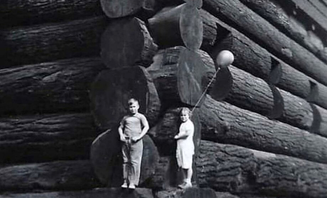 На фото 1905 года нашли избу из деревьев-великанов: историки считают, что дом слишком велик для людей
