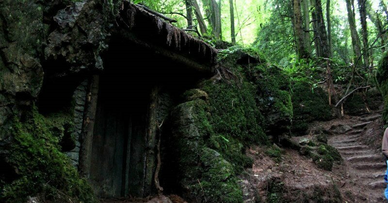 Лес Пазлвуд в Великобритании, которым вдохновлялся сам Толкиен путешествия, факты, фото