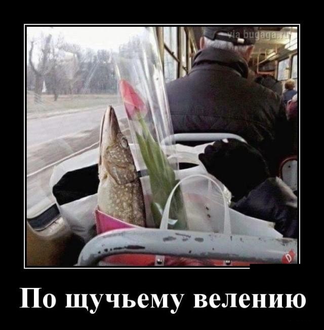 Новые демотиваторы и ненависть к будильникам Новые демотиваторы и ненависть к будильникам