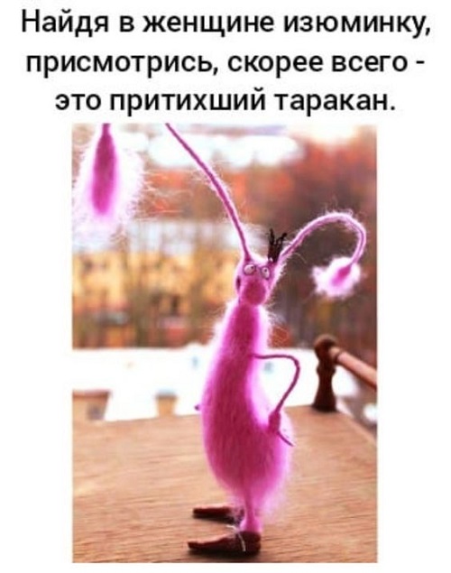 Свежие очень смешные картинки Свежие очень смешные картинки