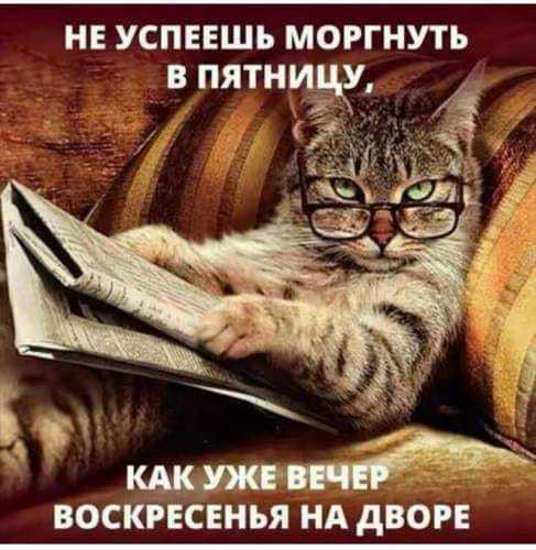 Особые приметы: нет пирсинга, татуировок и ирокеза  )) анекдоты,демотиваторы,приколы,юмор