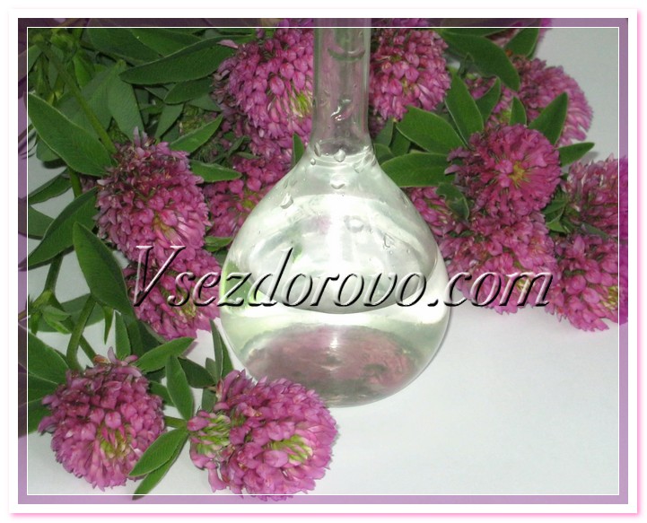 Гидролат клевера