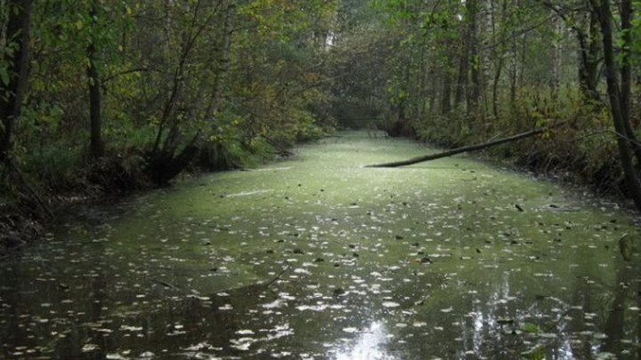 Часы идут в обратную сторону, компас сходит с ума: самые странные аномальные зоны