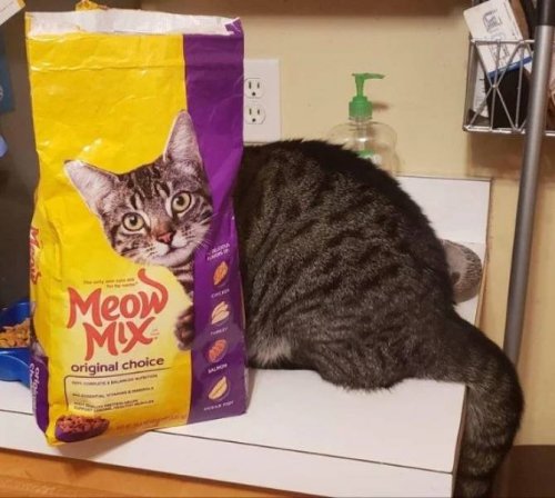 30 фотографий, на которых что-то не так 30 фотографий, на которых что-то не так смешные картинки